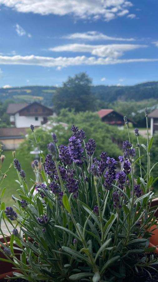 Ferienwohnung Alpseeliebe Immenstadt im Allgäu Esterno foto