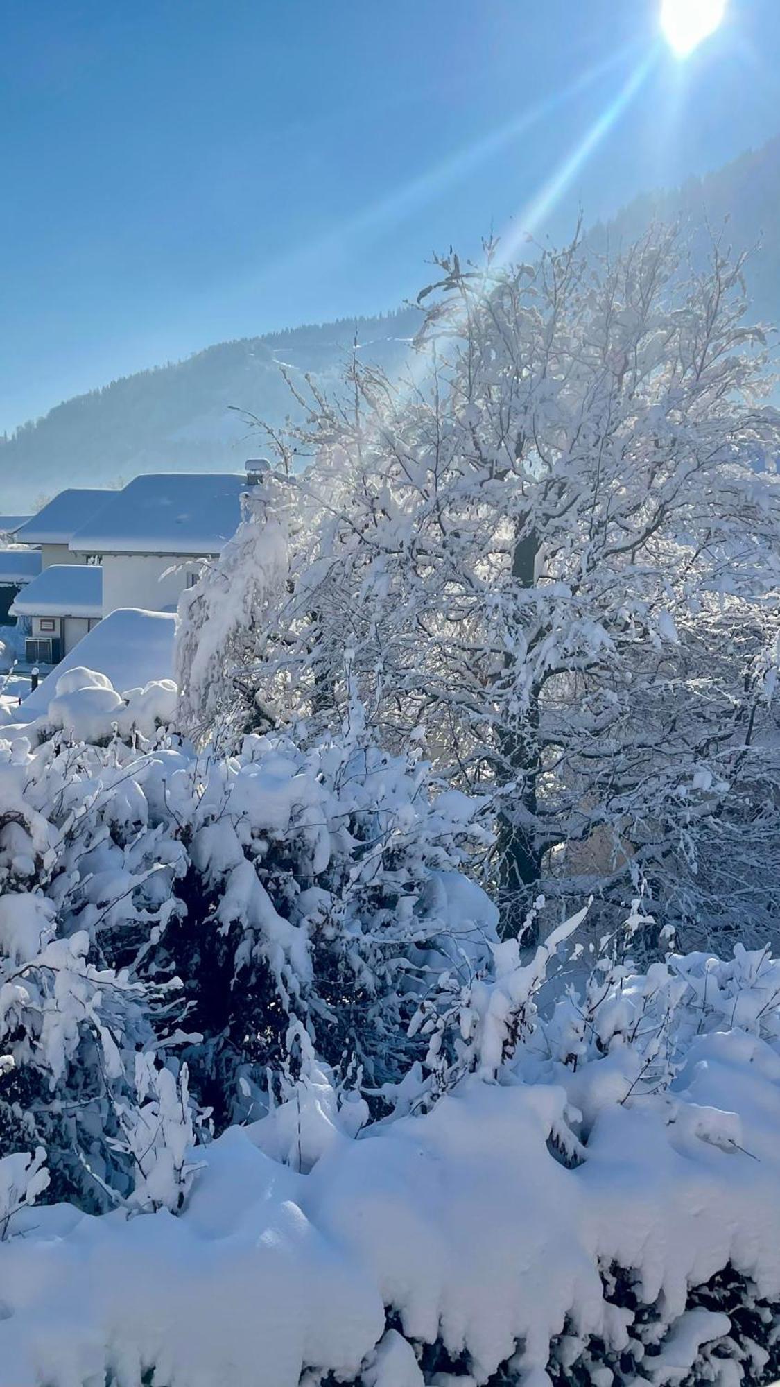Ferienwohnung Alpseeliebe Immenstadt im Allgäu Esterno foto